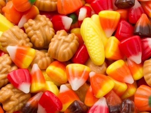 Zachary Fall Festival Mix 1 lb. 